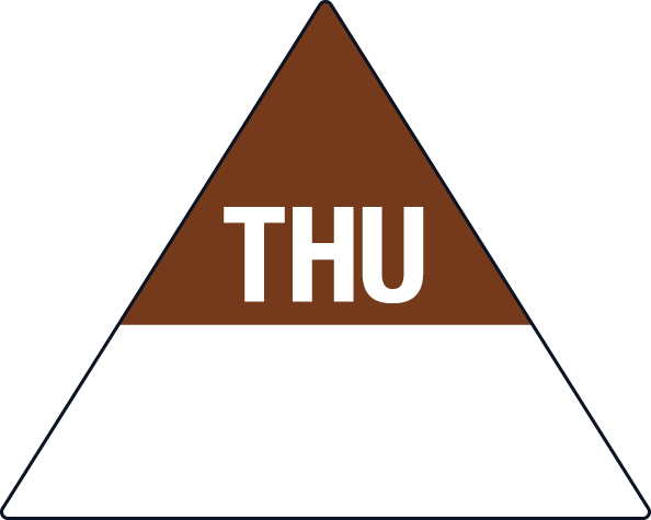 Removable 40 x 50mm Triangle - Thursday - 96530 thursday triangle.jpg