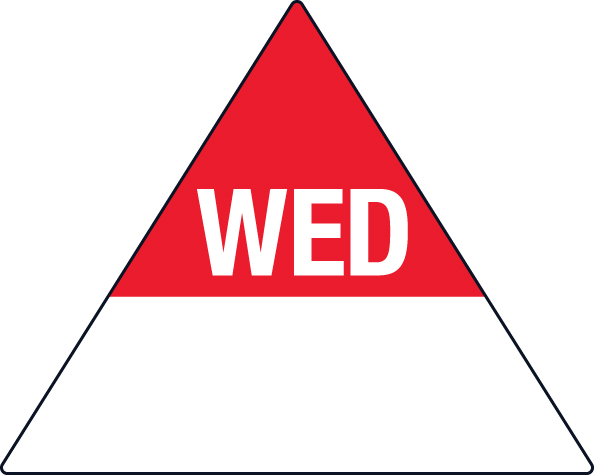 Removable 40 x 50mm Triangle - Wednesday - 96520 wednesday triangle.jpg