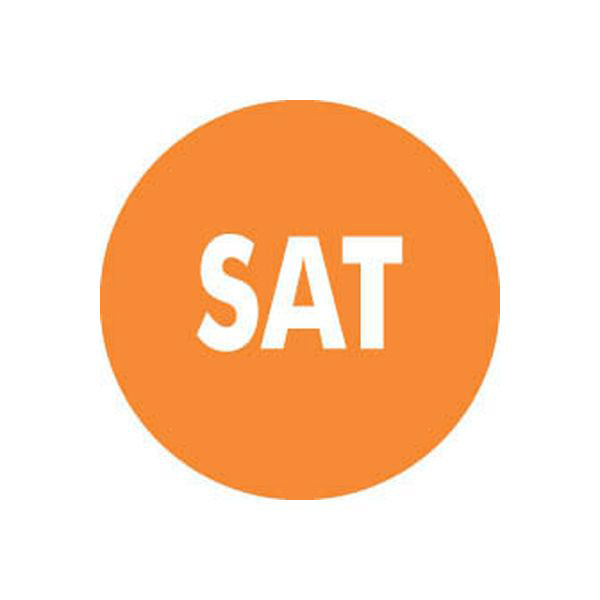 Removable 19mm Circle - Saturday - 10600.jpg