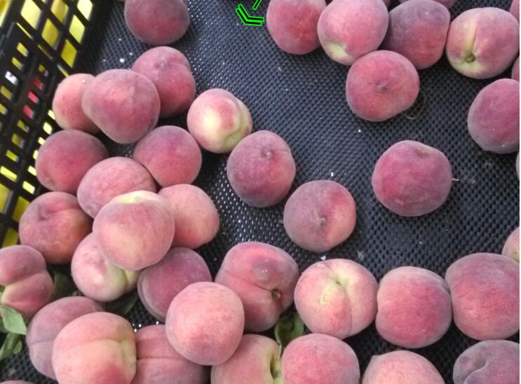 Fresh Produce Matting 900mm x 18m roll - 68085 fresh display.jpg