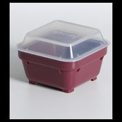 Square Bowl 100 x 100mm - Burgundy - 38666 square bowl burgundy with lid.jpg