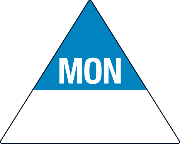 Removable 40 x 50mm Triangle - Monday - 96500 monday triangle.jpg