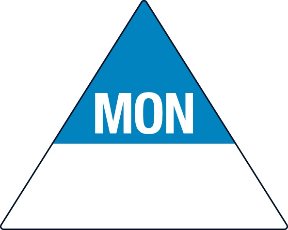 Removable 40 x 50mm Triangle - Monday